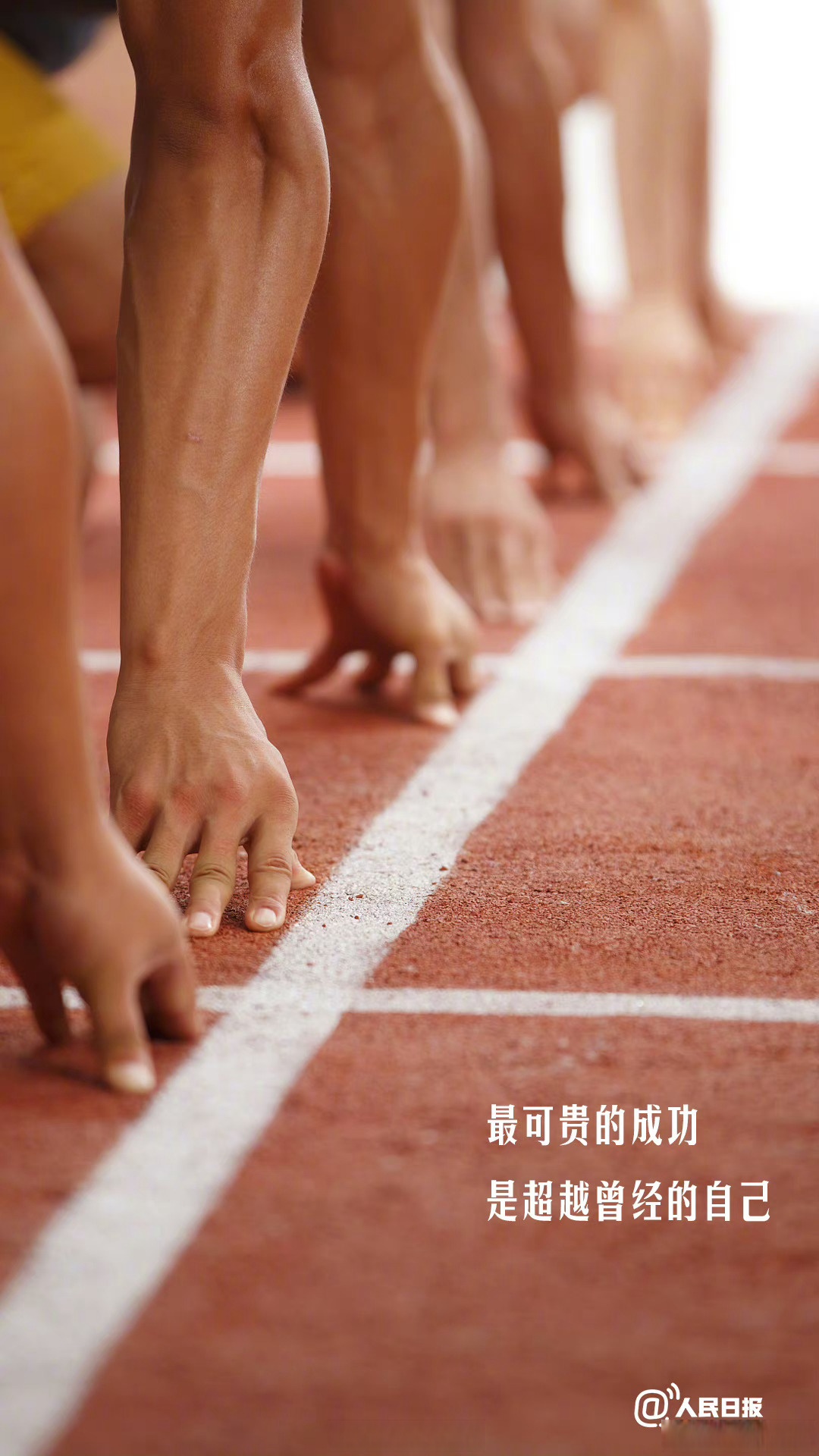 关于运动员赛场上风光无限，勇往直前，以实力打动世界的信息